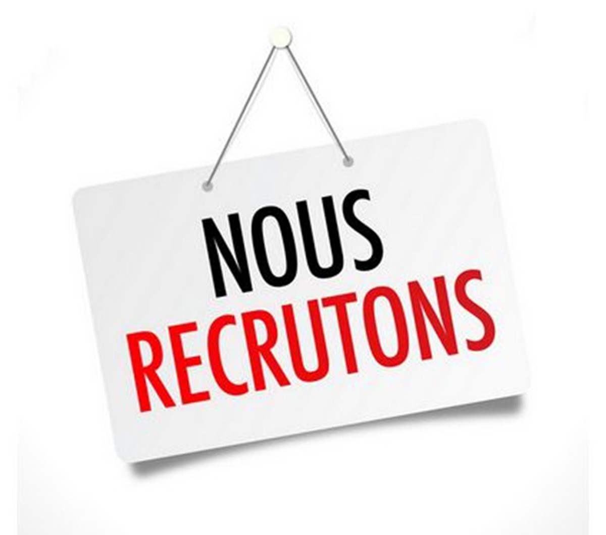 Pro Travaux recrute!